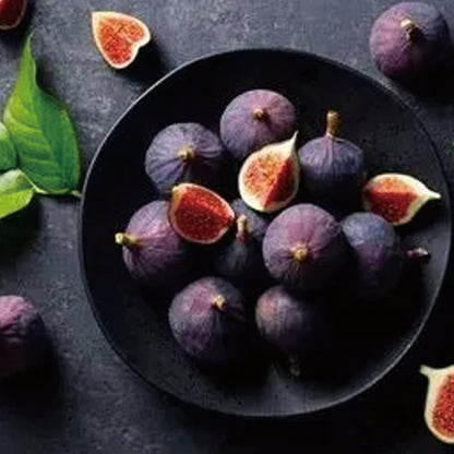 🏆65K+ SOLD!🌿Fig Seeds– Easy To Grow On Your Patio And Balcony At Home