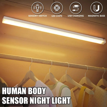 Motion Sensor LED Light